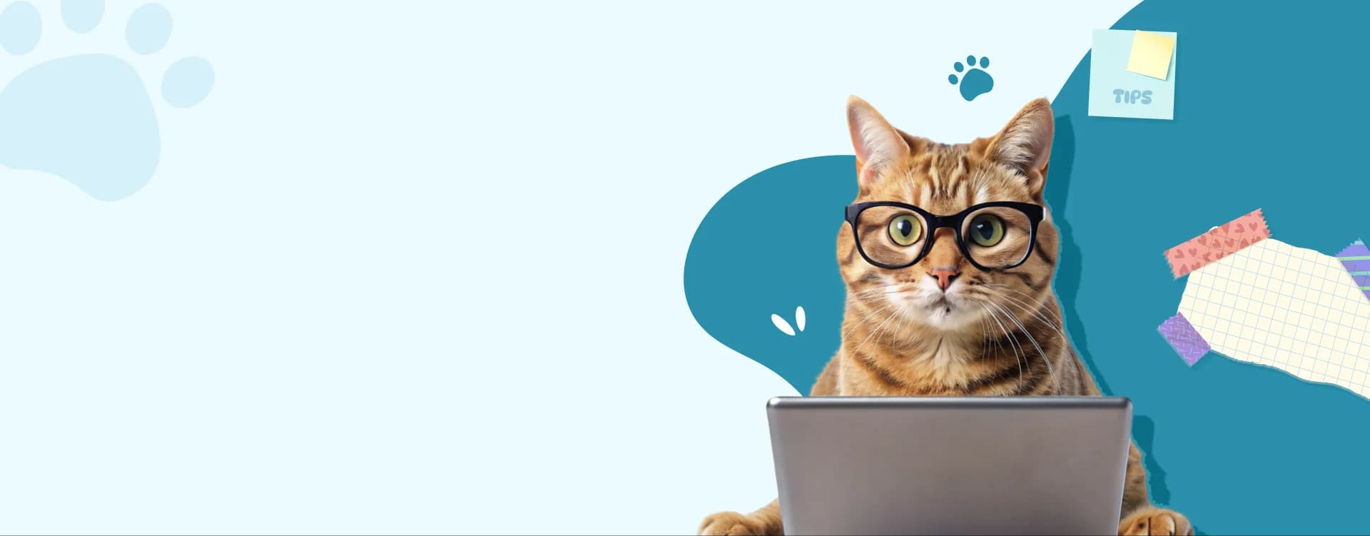 A bespectacled ginger cat sitting behind a laptop