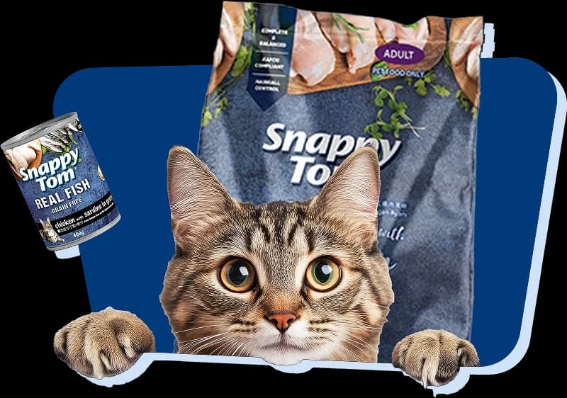 A tabby cat peeking over a Snappy Tom dry food pack and Real Fish can